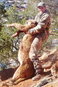 Successful Colorado Mountain Lion Hunts
