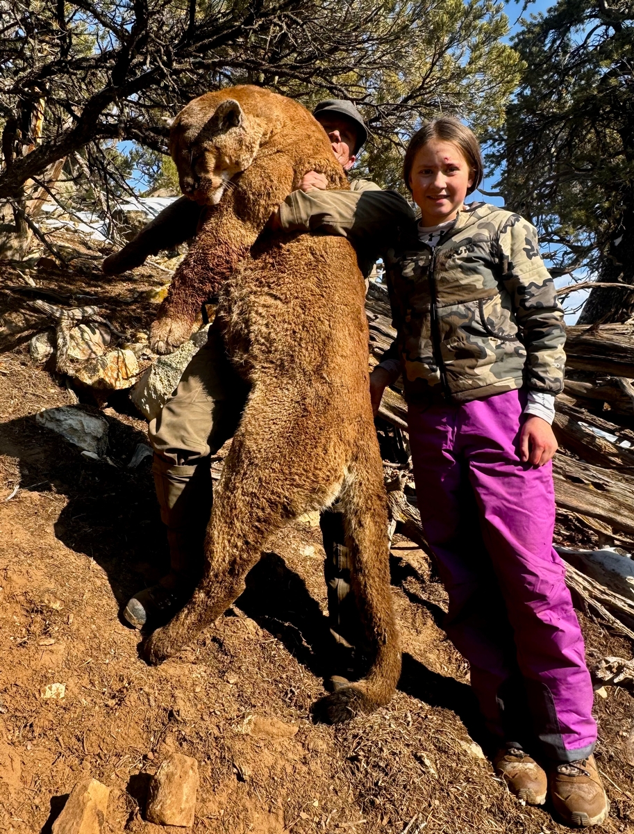 Colorado Mountain Lion Hunts